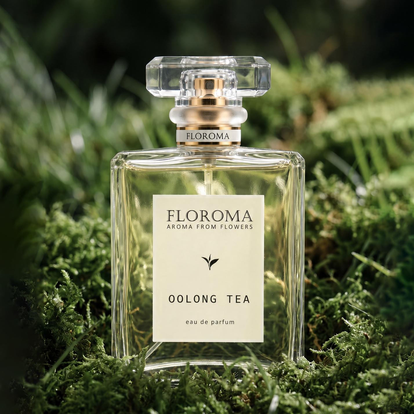 Luxusparfüm (100 ml)