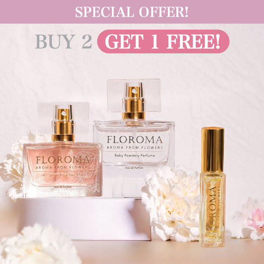 Special Offer【Xmas Combo】$119 Buy 2 Get 1 FREE!
