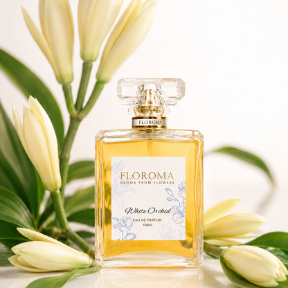 „Gestalte dein Parfum“ – Sichere dir eine kostenlose personalisierte Gravur beim Kauf eines Luxus-EDP-Parfums!