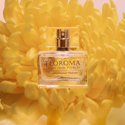 【Choose Your Own Perfume Combination】$119 For Any 3 Big Perfume（35mL)