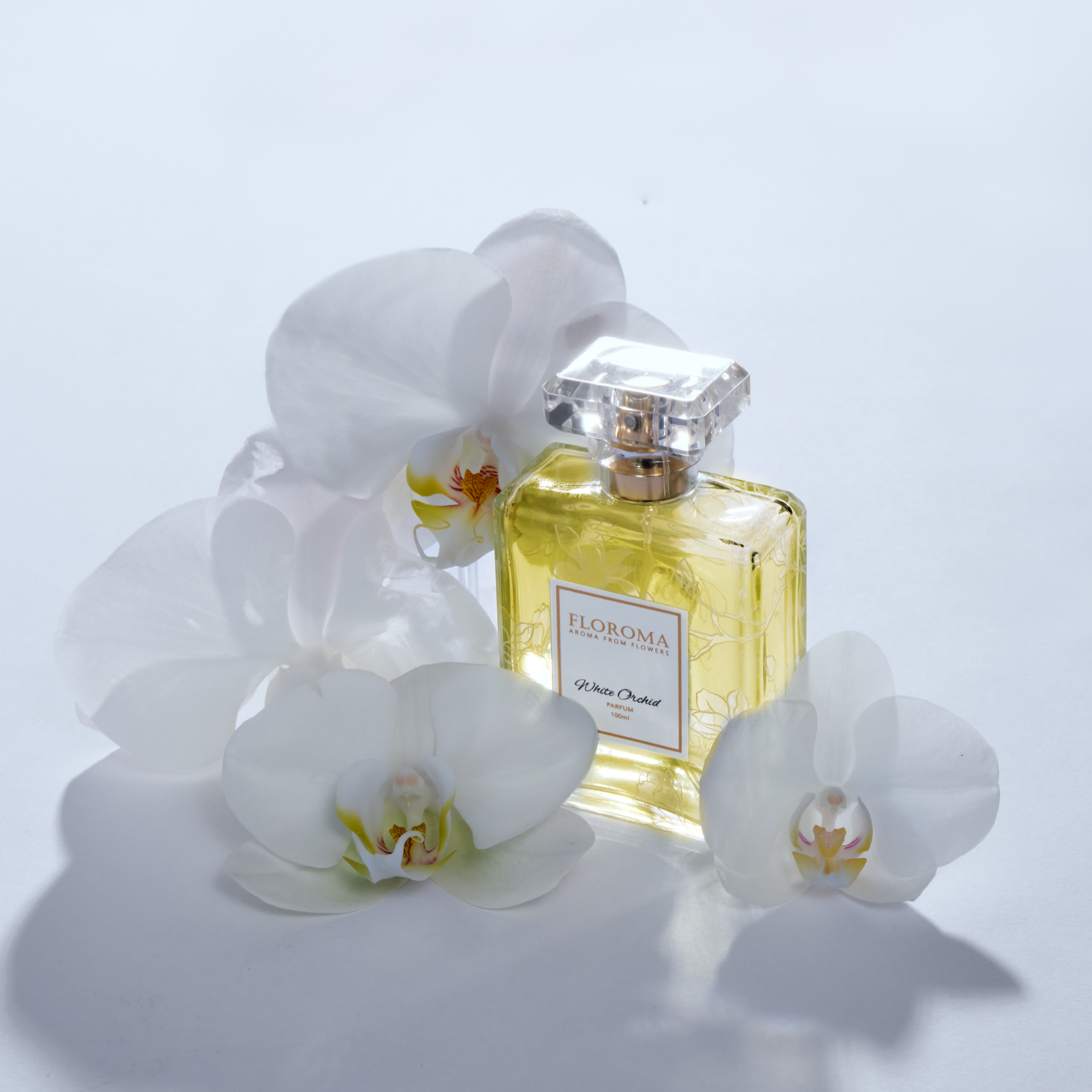 Weiße Orchidee Parfum