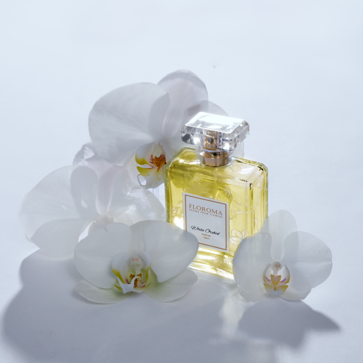 【Kostenloser Versand】Kaufen Sie die nachfüllbare Parfum Free Parfümflasche!