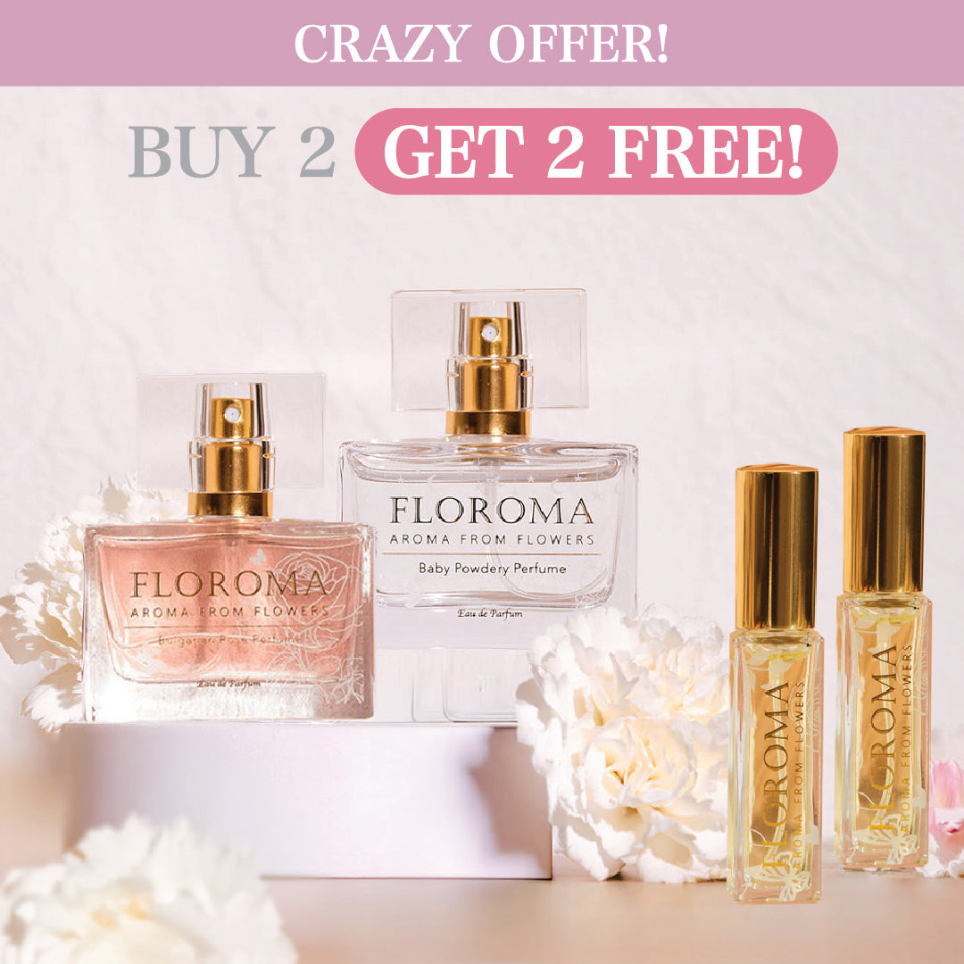 【Crazy Offer】Buy 2 Get 2 FREE! Free Ship