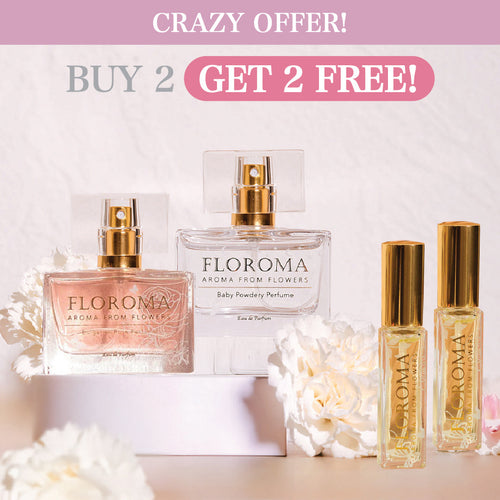 【Crazy Offer】Buy 2 Get 2 FREE! Free Ship