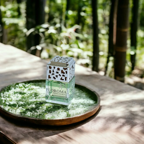 Car Diffuser Set《Bamboo》: 1 Set with 3 Diffusers