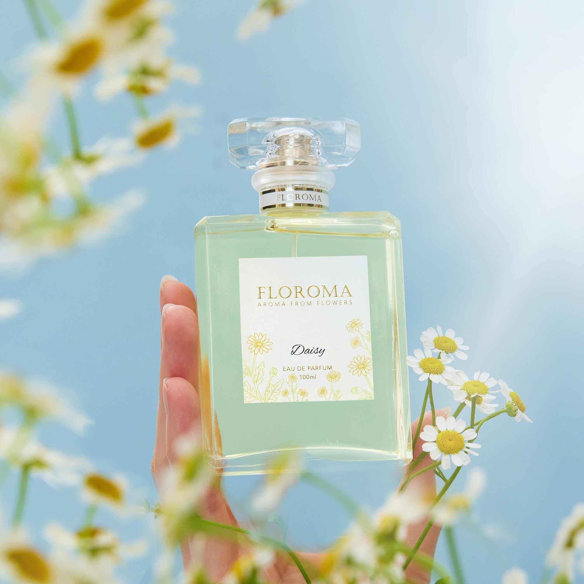 100mL Delux (1 Bottle)