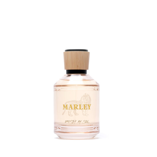 Satisfy My Soul Perfume