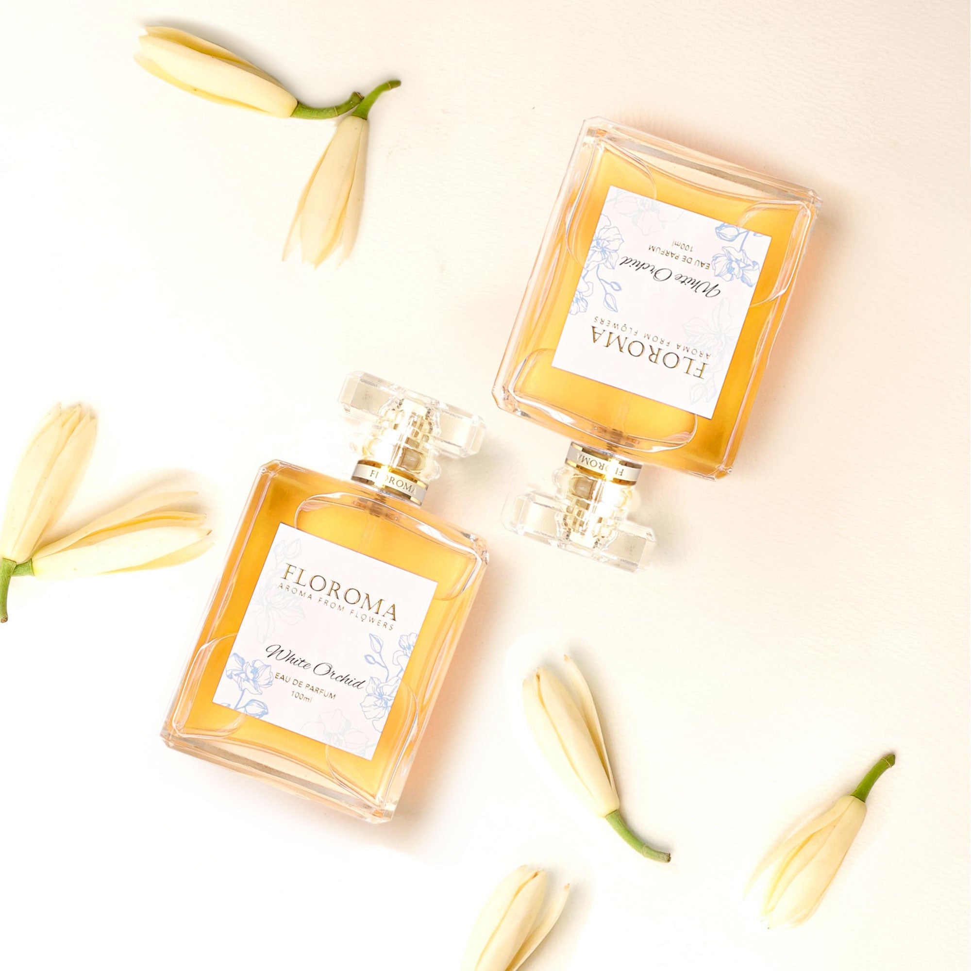 2x 100 mL Delux (2 Flaschen)