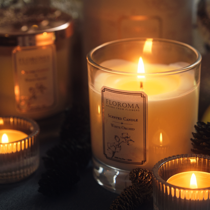 【Free Shipping】Scented Candle Combo of 2