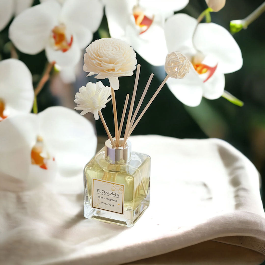 Floroma【Home Diffuser】Kombinationsangebot: 119 USD für 5 Diffuser (5 Düfte nach Wahl)