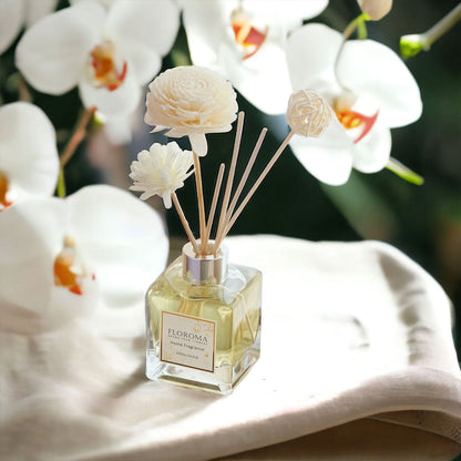 Floroma【Raumdüfte】Kombi: 89 USD für 3 Diffuser (3 Düfte nach Wahl)