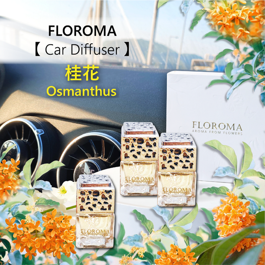 Car Diffuser Set《Osmanthus》: 1 Set with 3 Diffusers